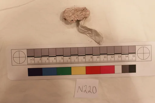 Stucco Fragment