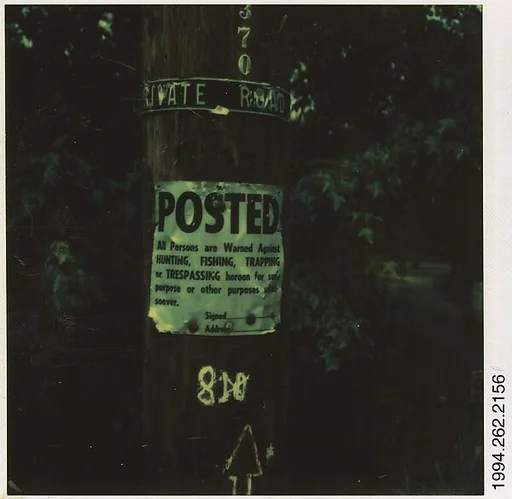 [Signs on Telephone Pole]