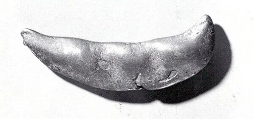 Gold Weight: Seed Pod