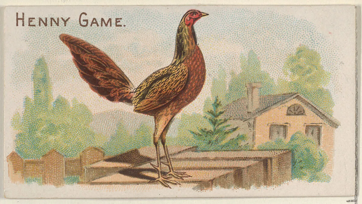Henny Game, from the Prize and Game Chickens series (N20) for Allen & Ginter Cigarettes — Allen & Ginter|The Gast Lithograph & Engraving Company