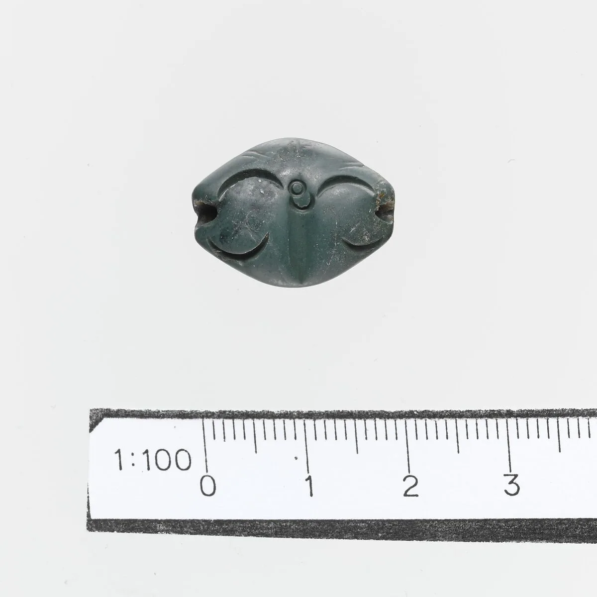 Seal — Unknown