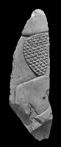 Raised relief fragment