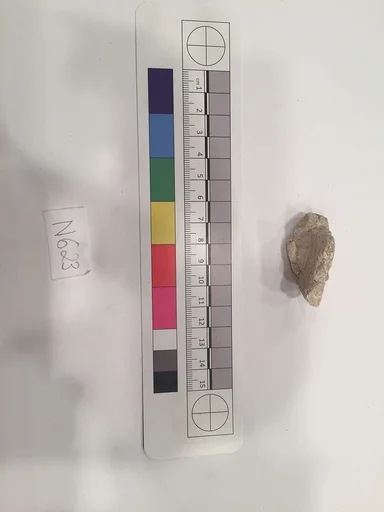 Stucco Fragment