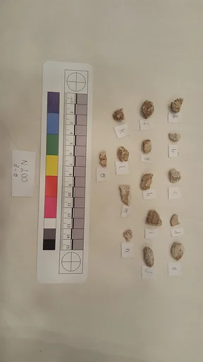 Stucco Fragment
