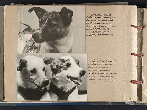 Page from Brothers of the Cosmos, 1969, featuring images of Laika, 1957 [top],by V.M. Baturin and N. K. Filippov; and Belka and Strelka, 1960 [bottom], by Baturin and V. Zhiharekno