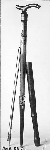 Cane Violin