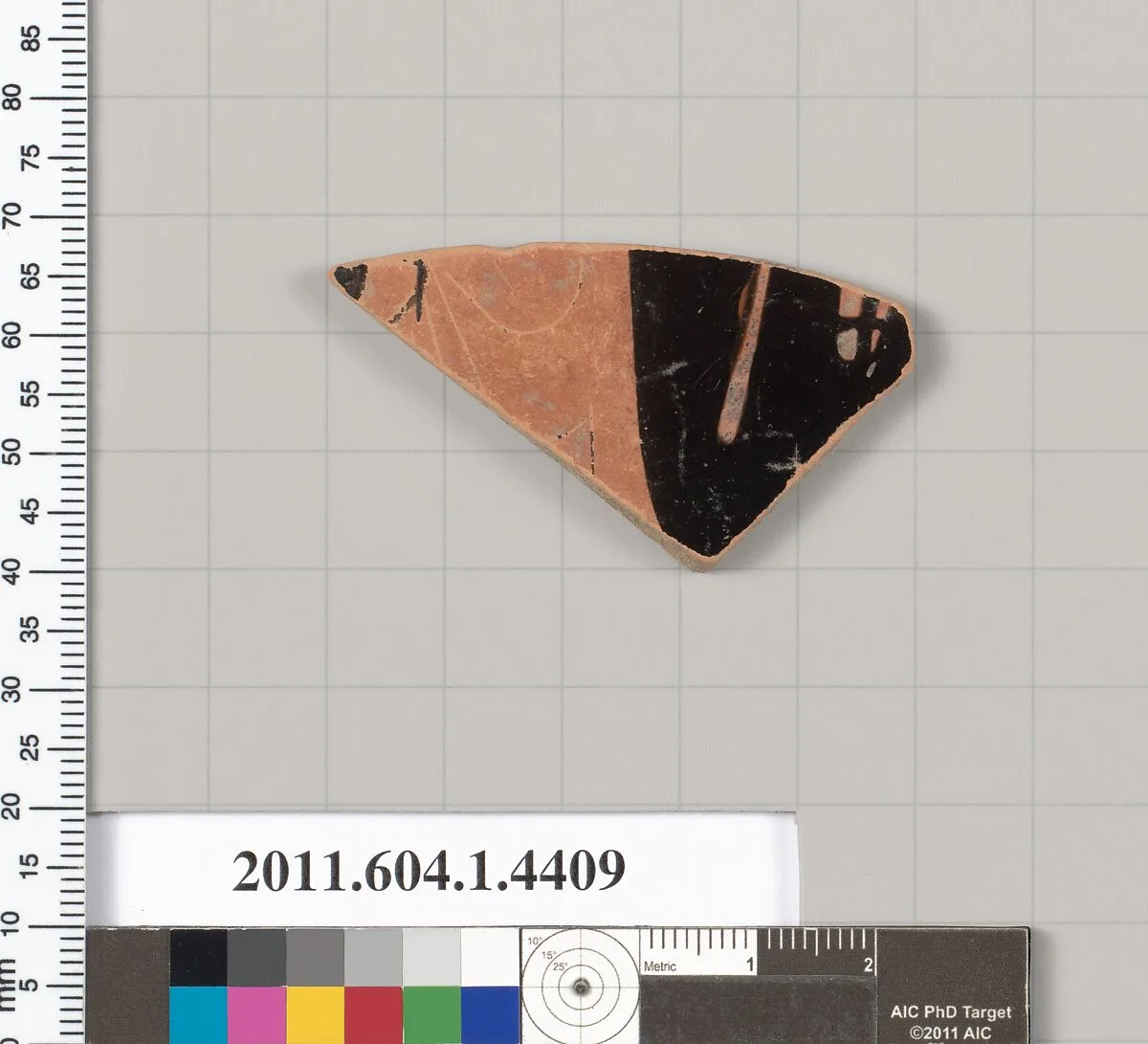 Terracotta fragment of a kylix (drinking cup) — Unknown