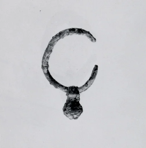 Earring