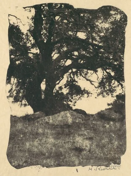 Oak, Mission Ridge, Santa Barbara, California — Henry Ravell