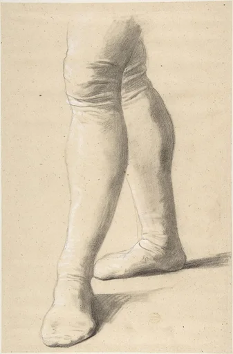 Study of Legs