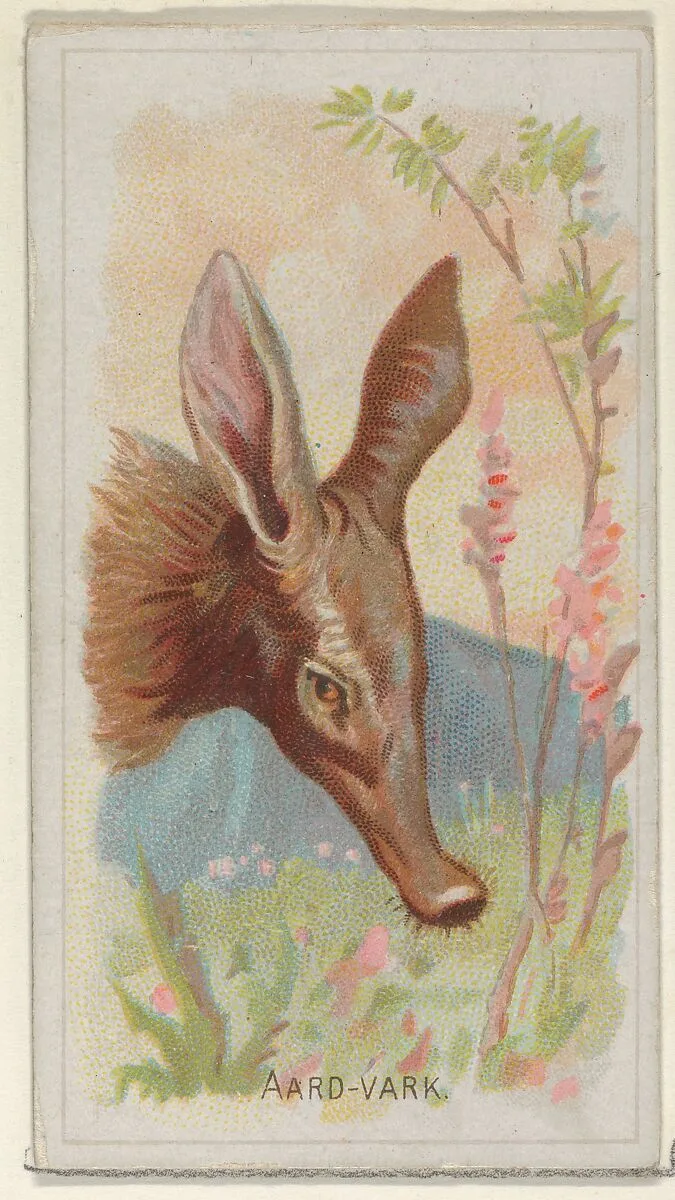 Aardvark, from the Wild Animals of the World series (N25) for Allen & Ginter Cigarettes — George S. Harris & Sons|Allen & Ginter