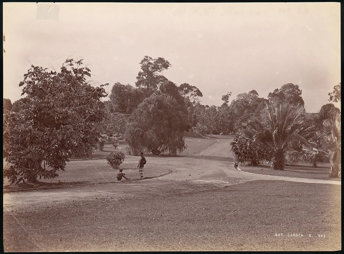 Botanical Garden — Unknown