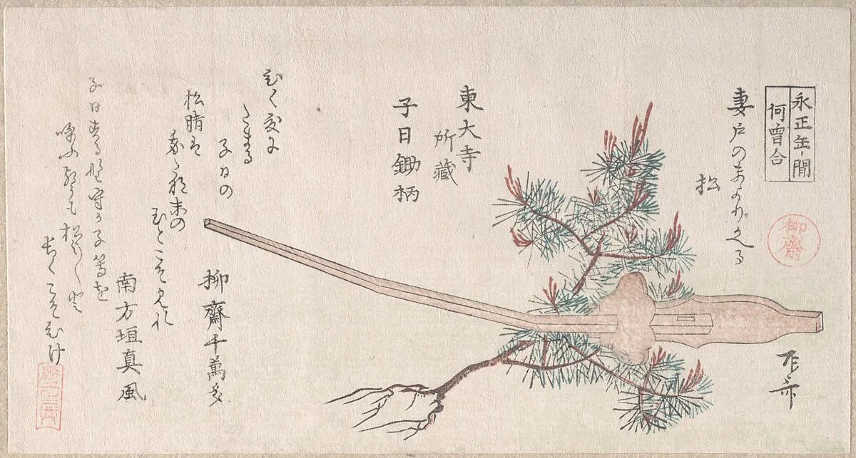 Untitled — Ryūryūkyo Shinsai