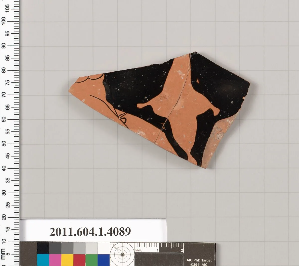 Terracotta fragment of a kylix (drinking cup) — Unknown
