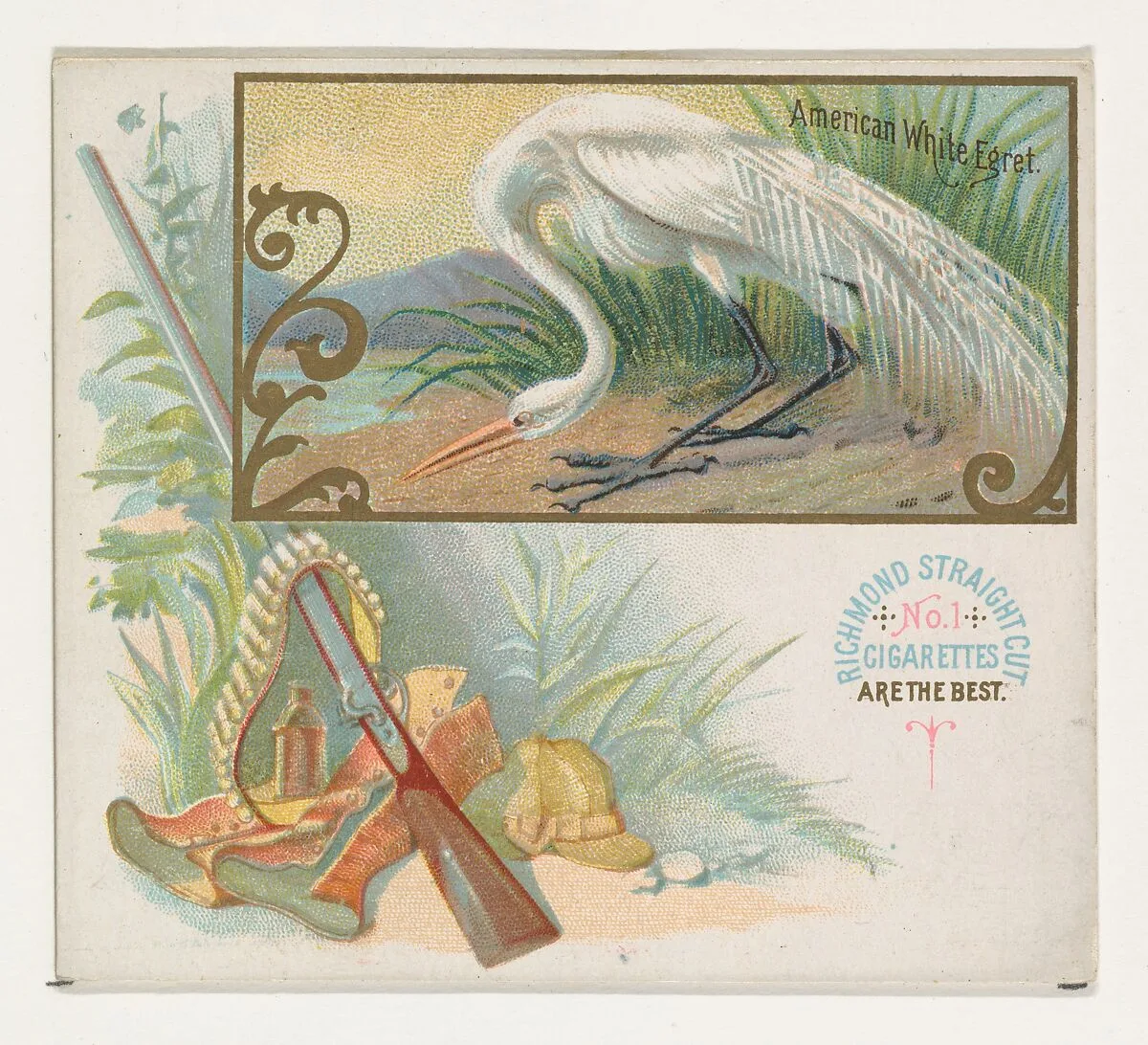 American White Egret, from the Game Birds series (N40) for Allen & Ginter Cigarettes — Allen & Ginter