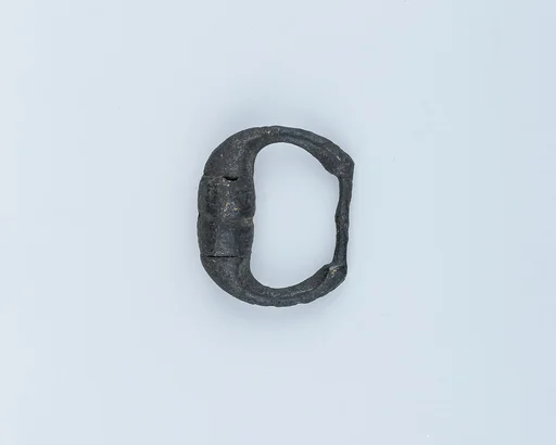 Buckle Loop