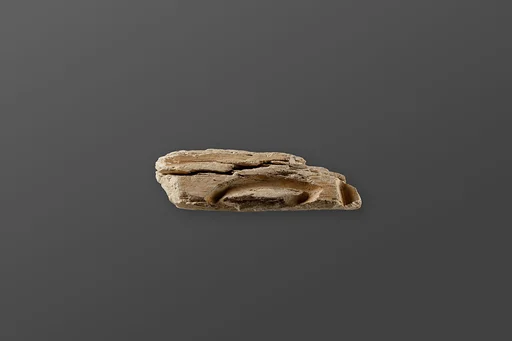 Relief fragment possibly from the tomb of Mereri