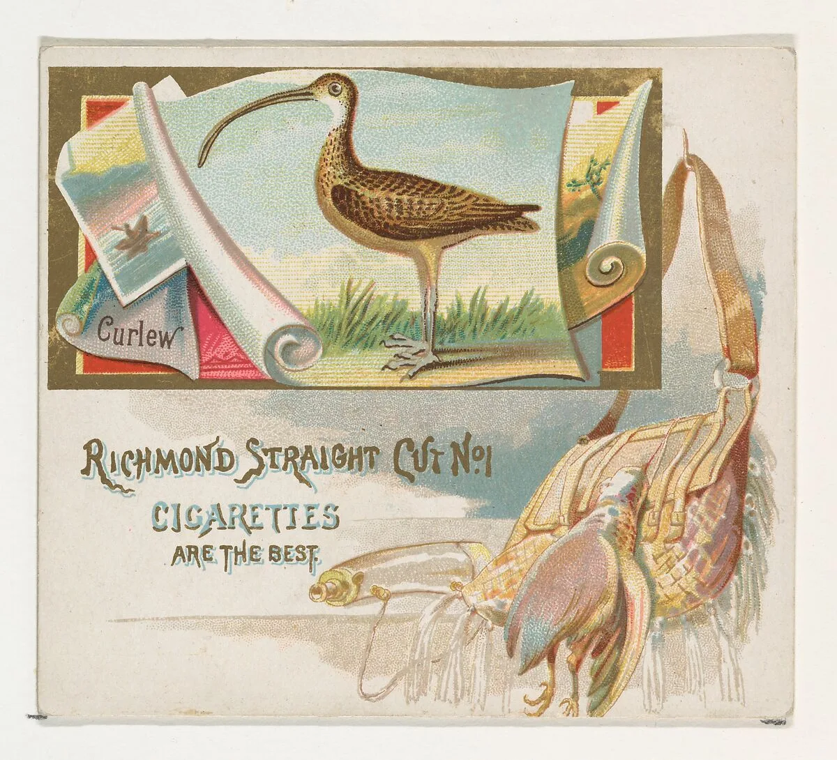 Curlew, from the Game Birds series (N40) for Allen & Ginter Cigarettes — Allen & Ginter