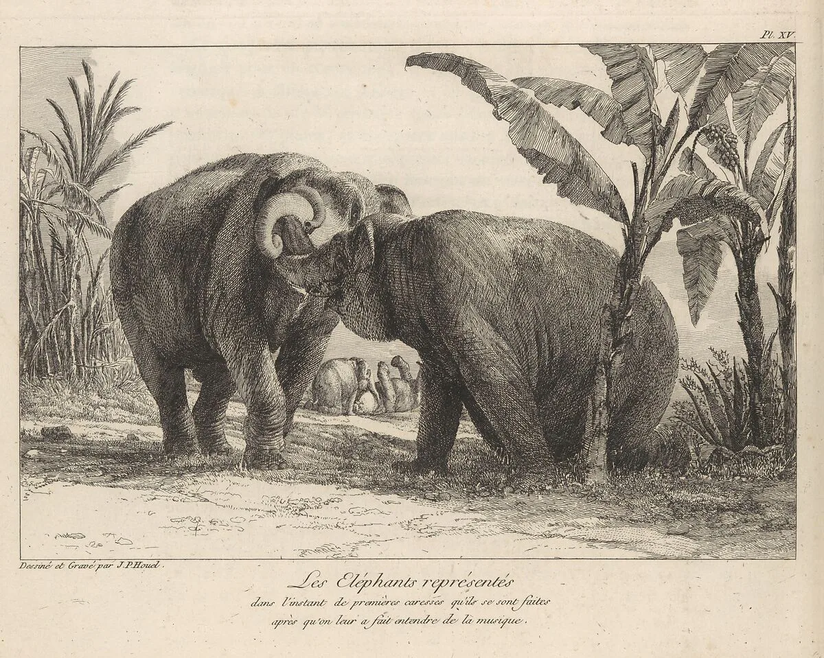 Histoire Naturelle Des Deux Éléphans...du Muséum De Paris — Jean Pierre Louis Laurent Hoüel|Jean Pierre Louis Laurent Hoüel