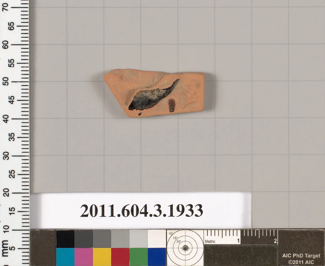 Terracotta fragment of a kylix (drinking cup) or a skyphos (deep drinking cup)? — Unknown