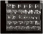 [Contact Sheet from Canadian Assignment]