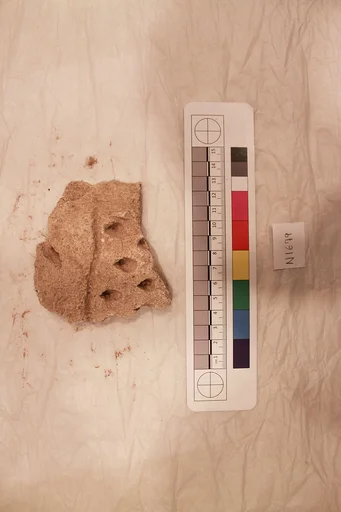 Stucco Fragment
