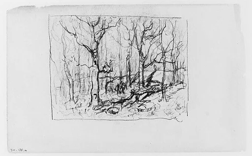 Study of Forrest (from Sketchbook)