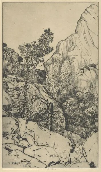Pines and Pinnacles — Ernest Haskell