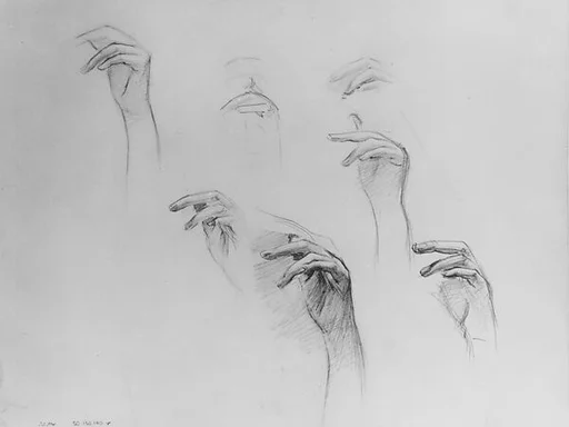 Left Hand for "Fumée d'Ambre Gris"