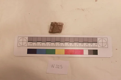 Stucco Fragment