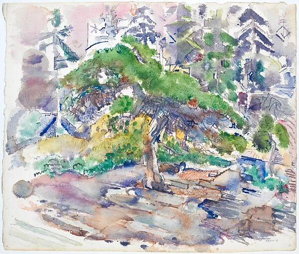 Rock and Scrub Pine, Small Point, Maine — John Marin