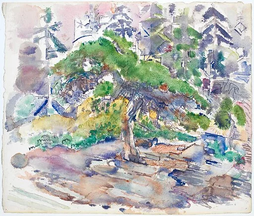 Rock and Scrub Pine, Small Point, Maine