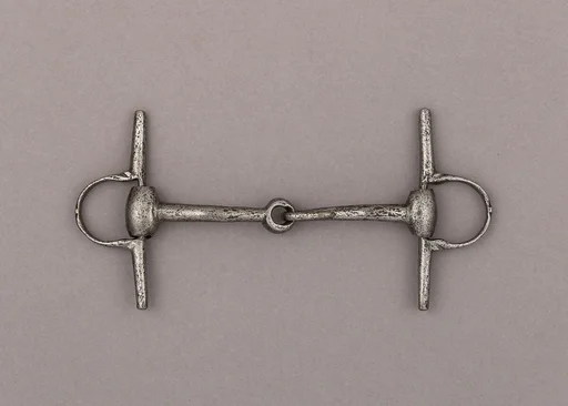 Snaffle Bit