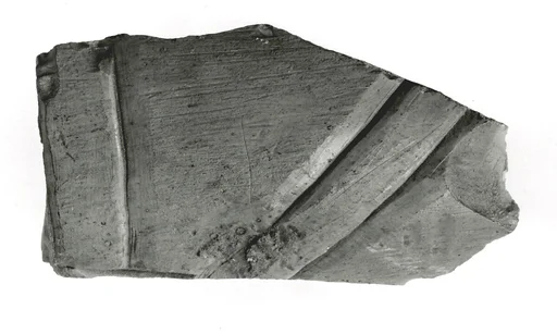 Raised relief fragment