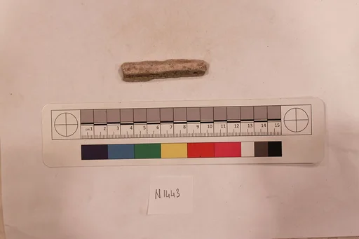 Stucco Fragment
