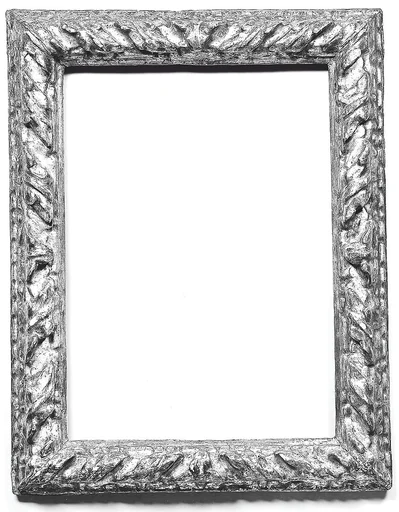 Astragal frame
