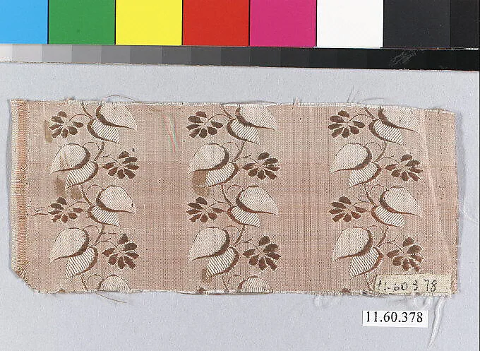 Fragment — Unknown