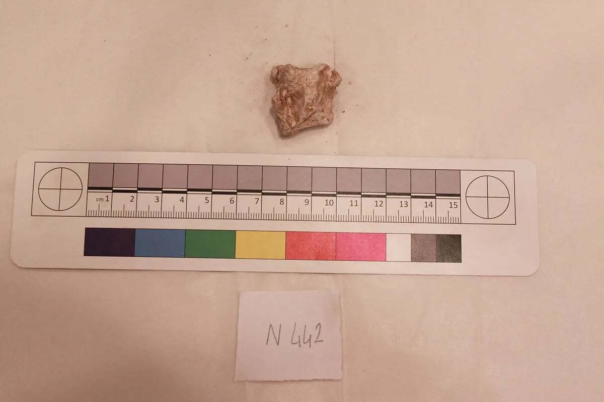 Stucco Fragment — Unknown