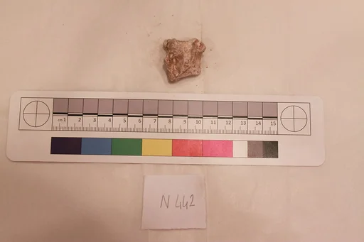 Stucco Fragment