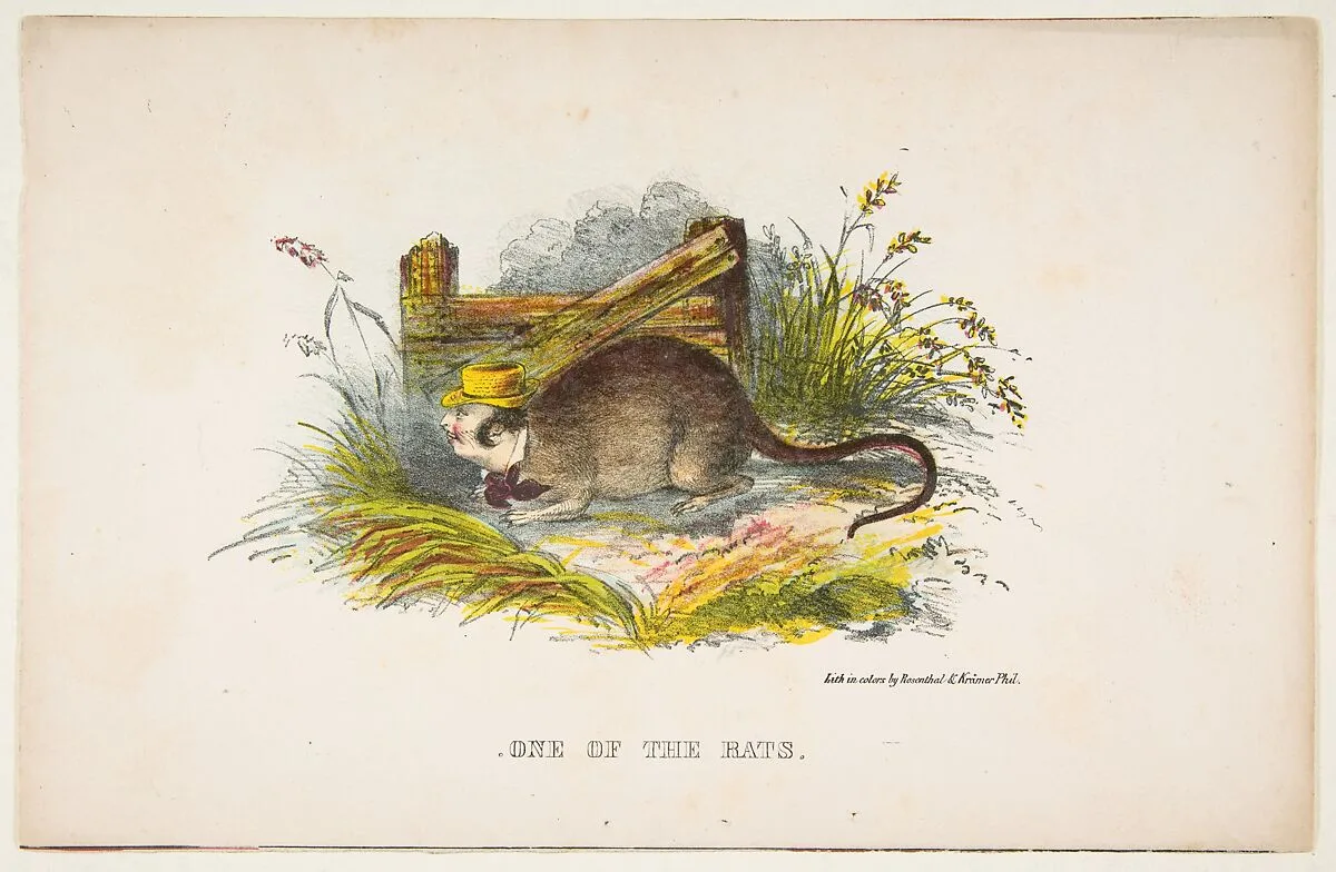 One of the Rats, from The Comic Natural History of the Human Race — Henry Louis Stephens|Rosenthal|Samuel Robinson