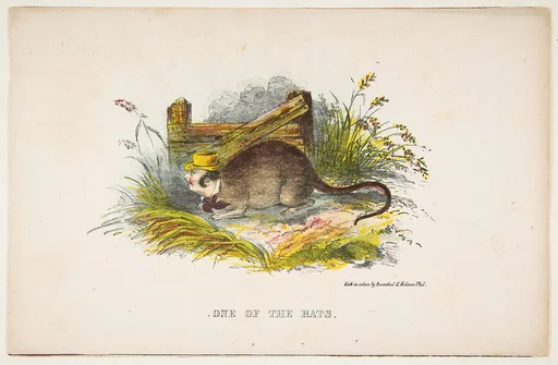 One of the Rats, from The Comic Natural History of the Human Race