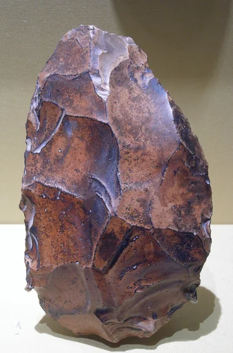 Biface, commonly referred to as a hand ax