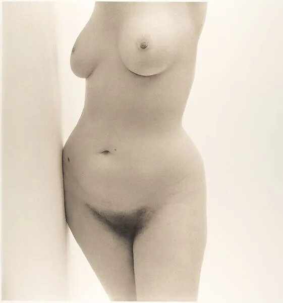 Nude No. 27 — Irving Penn