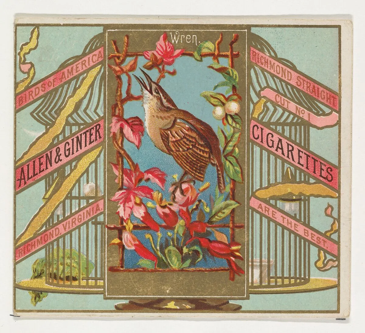 Wren, from the Birds of America series (N37) for Allen & Ginter Cigarettes — Allen & Ginter