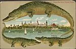 Tampa Bay Hotel, Tampa, Florida. — Unknown
