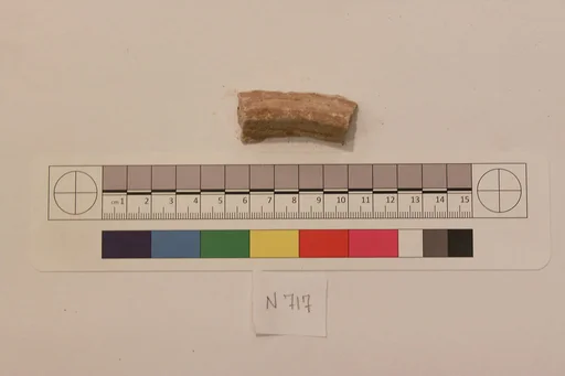 Stucco Fragment
