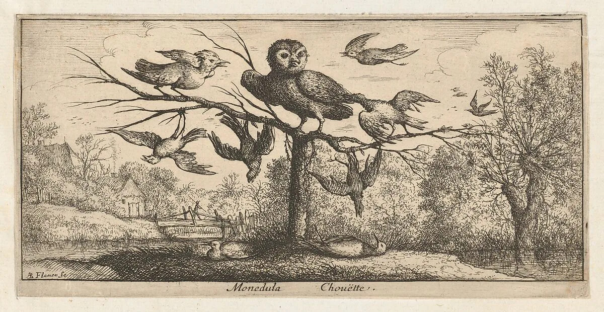 Monedula, Chouëtte (The Owl), from "Livre d'Oyseaux" (Book of Birds) — Albert Flamen