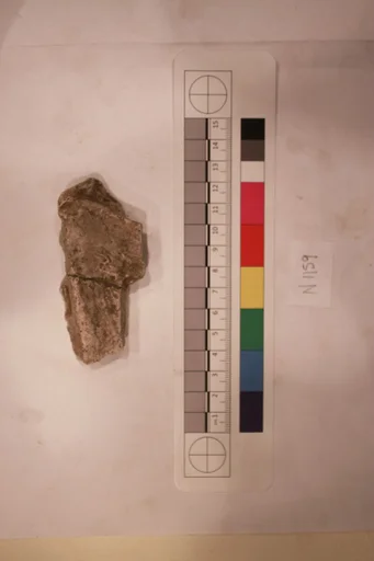 Stucco Fragment
