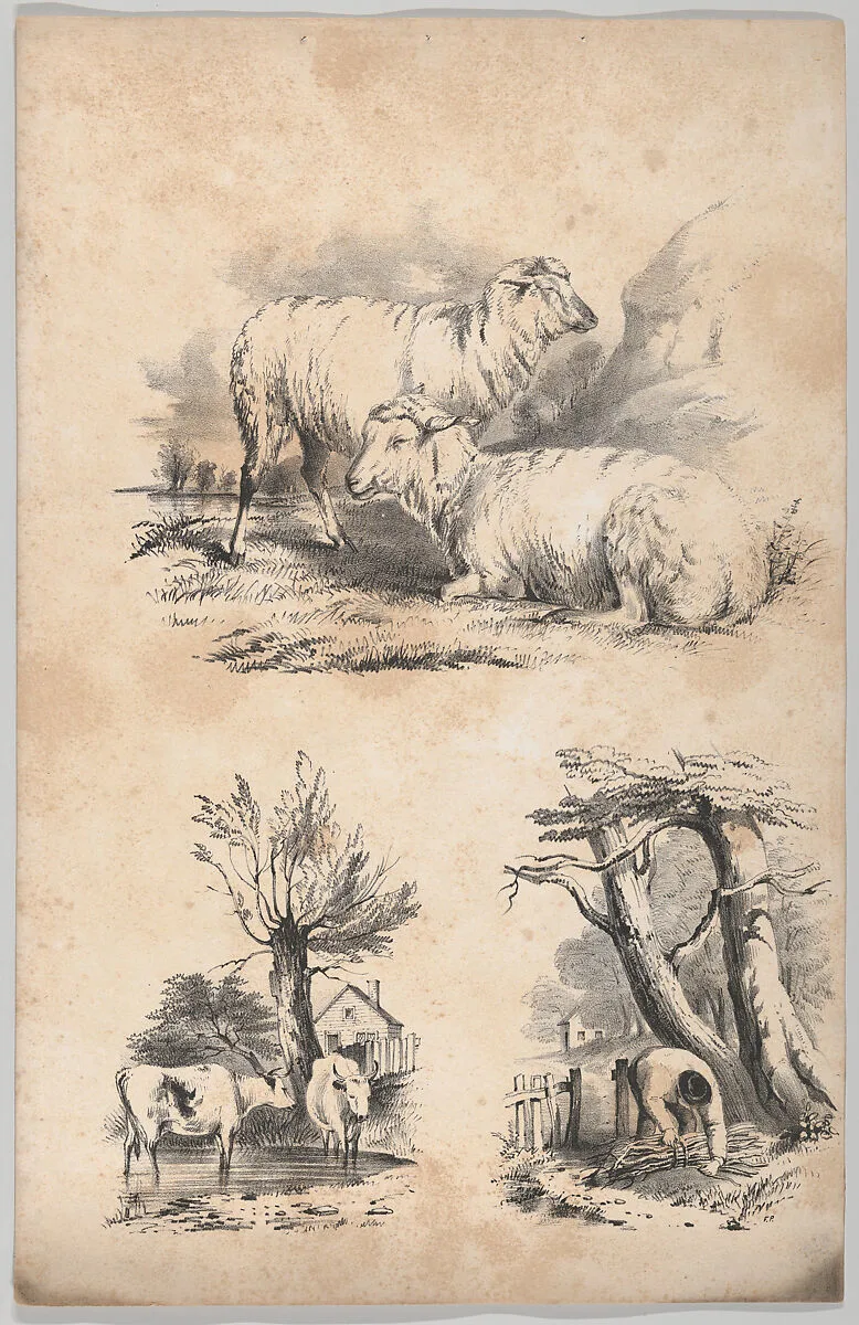 Vignette with two sheep, Vignette with two cows in a pool, and Vignette of a wood-gatherer, in: The New York Drawing Book, Containing a Series of Original Designs and Sketches of American Scenery, No. 2 — Francis & Seymour Palmer|Frances Flora Bond Palmer|W. H. Graham