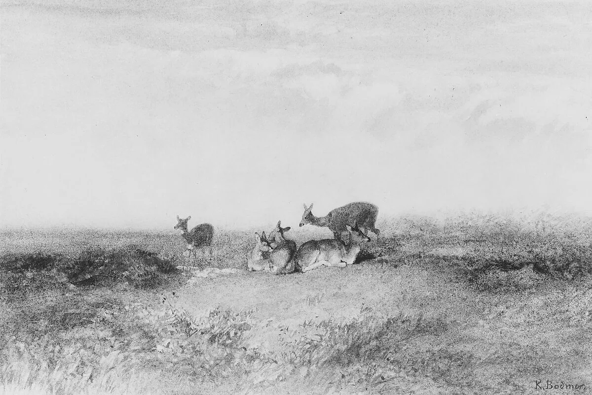 Deer in a Landscape — Karl Bodmer
